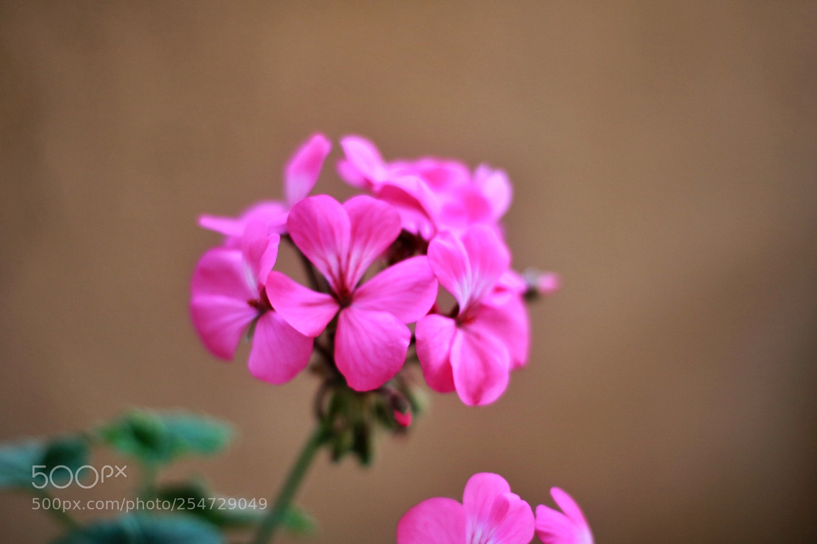 Canon EOS 750D (EOS Rebel T6i / EOS Kiss X8i) sample photo. Untitled photography