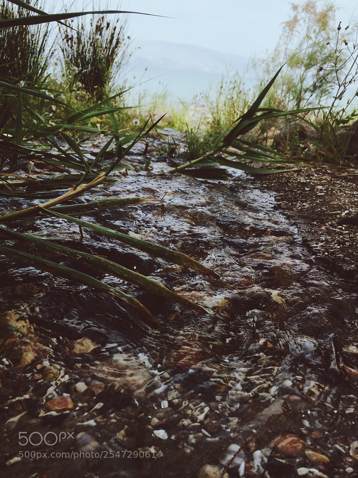 Apple iPhone 6s sample photo. Untitled photography