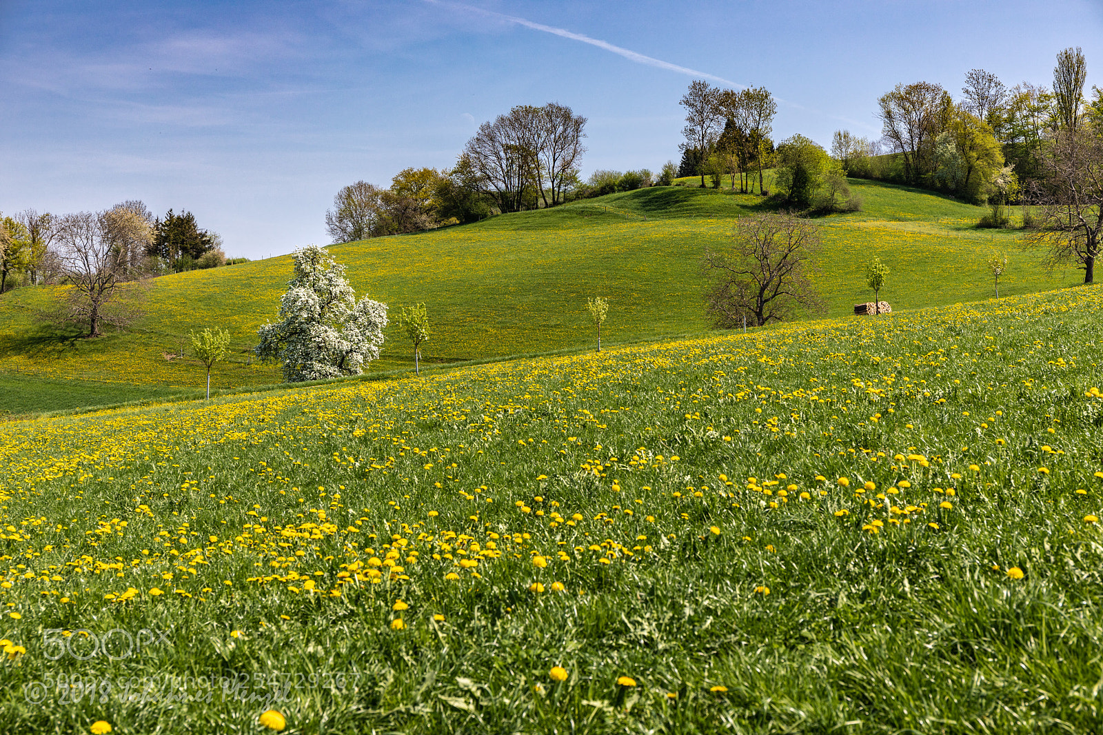 Canon EOS 5D Mark IV sample photo. Colors of spring ii photography