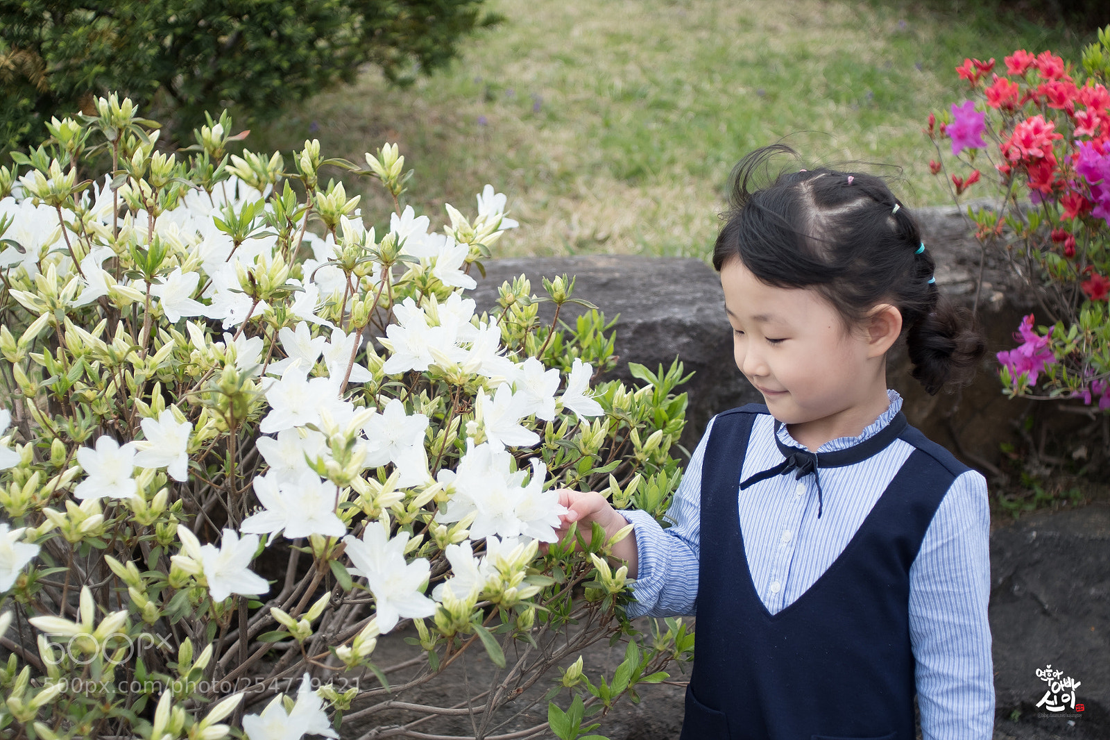 Fujifilm X-T2 sample photo. Girl with a flower photography