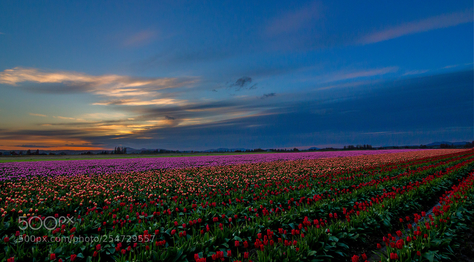 Canon EOS 700D (EOS Rebel T5i / EOS Kiss X7i) sample photo. Skagit nightfall photography