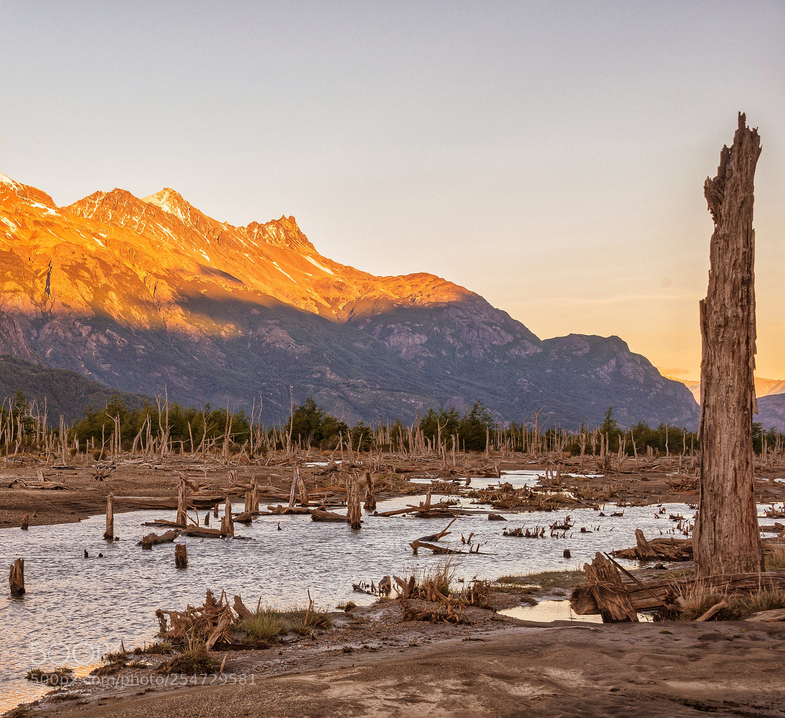 Nikon D610 sample photo. Cicatrices de la patagonia  photography