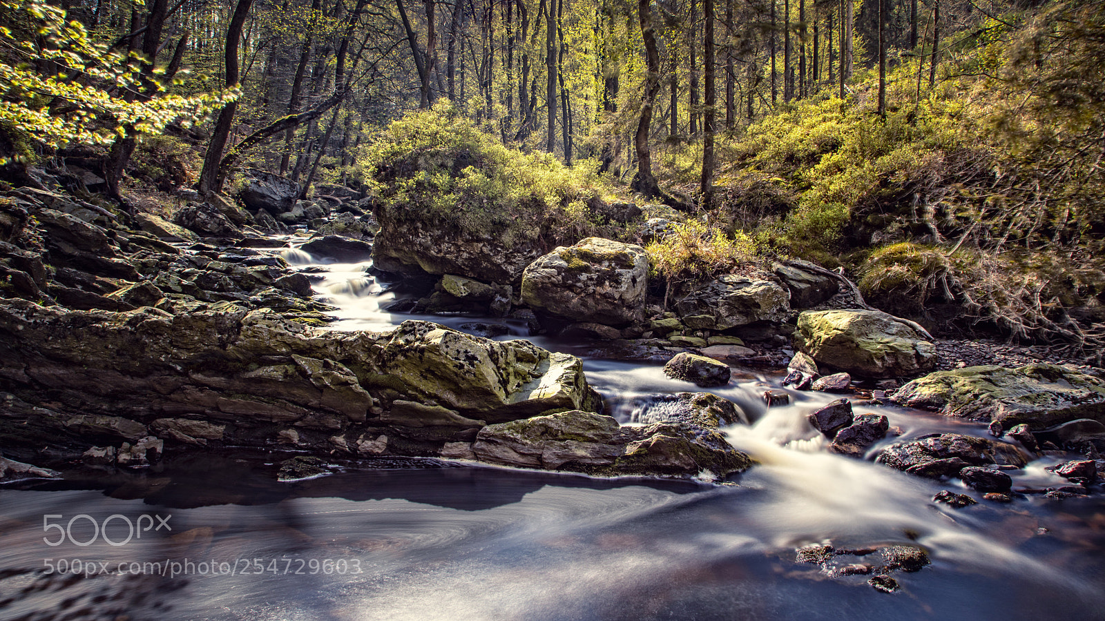 Canon EOS 5D Mark IV sample photo. The hoëgne river photography