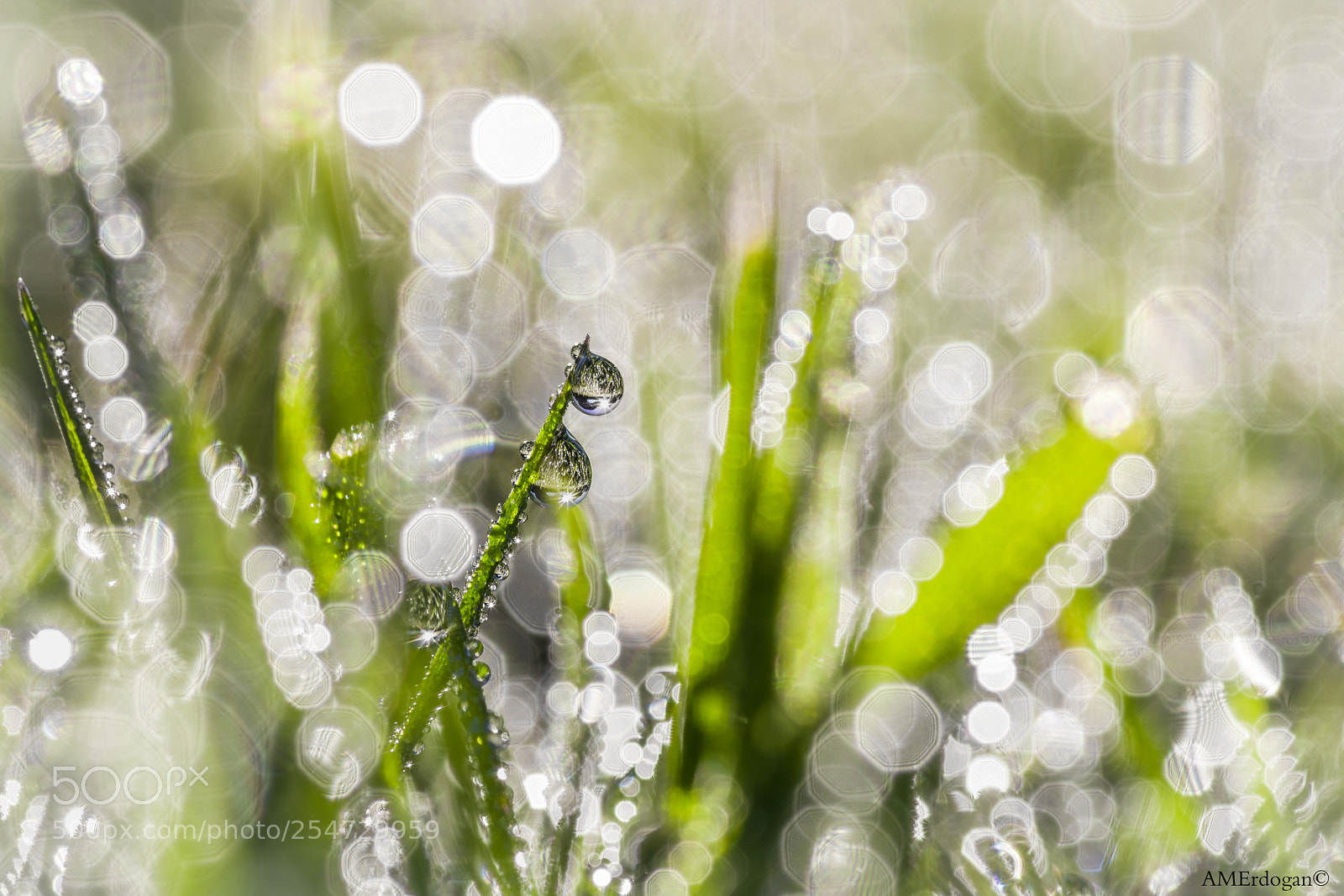 Pentax K-1 sample photo. Morning bells photography