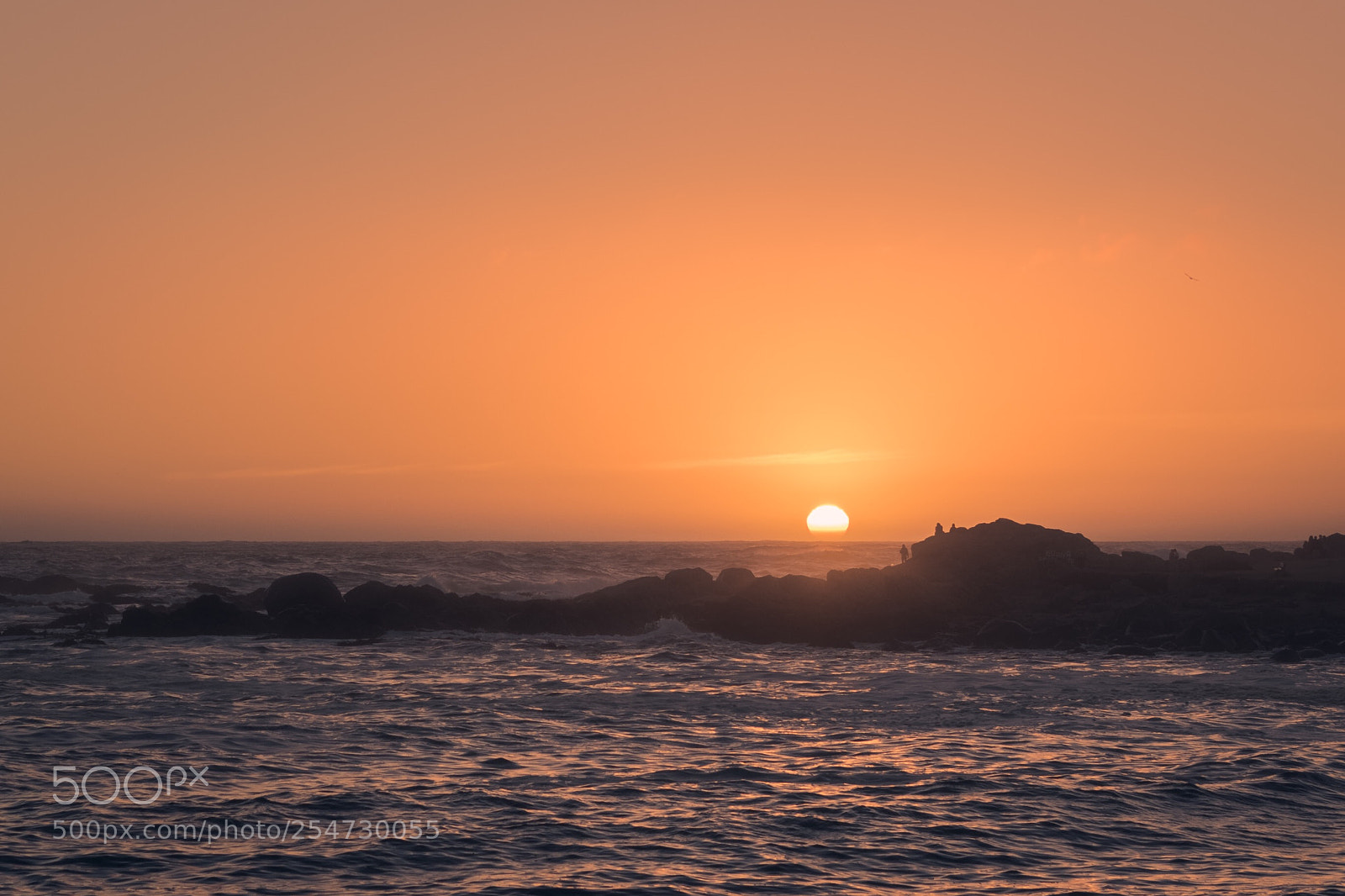 Nikon D5200 sample photo. Beautiful autumnal sunset photography
