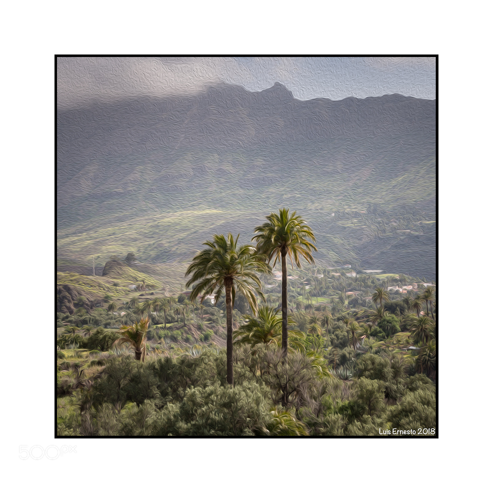 Nikon D7200 sample photo. Palmeras photography