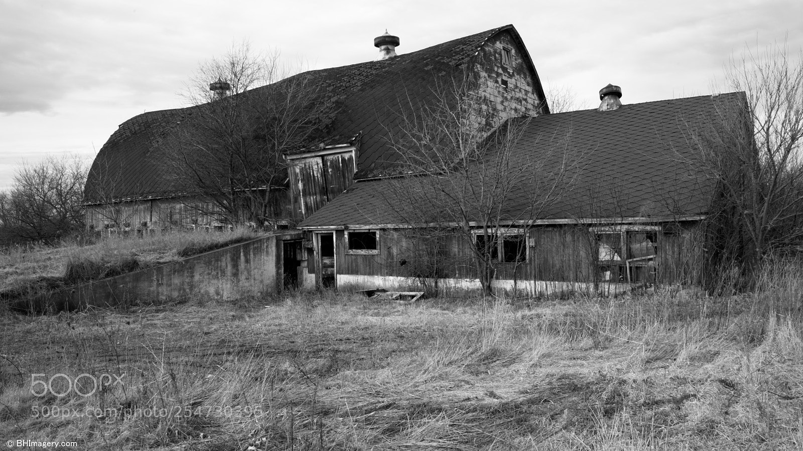 Sony a7R II sample photo. The death of the photography