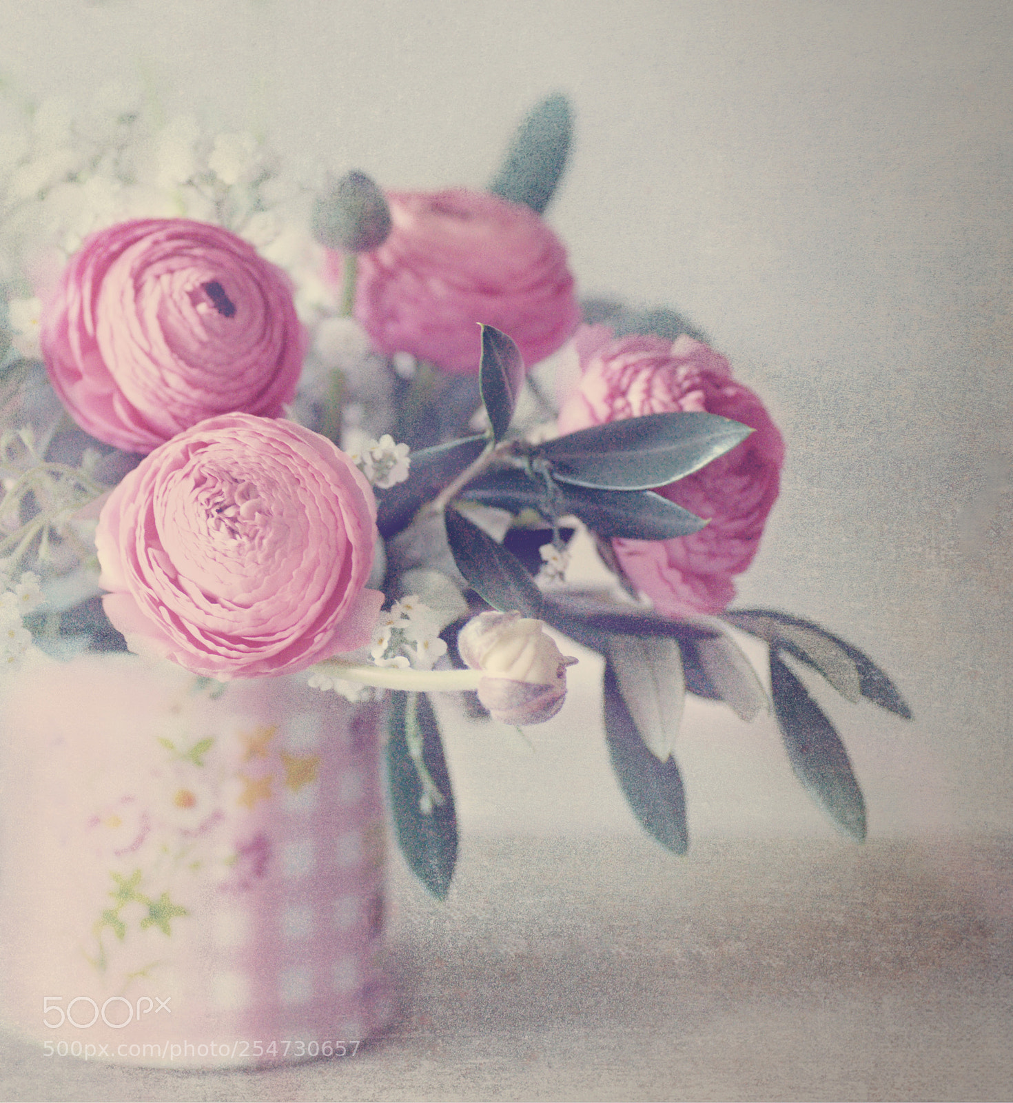 Sony Alpha DSLR-A850 sample photo. Pink vintage photography