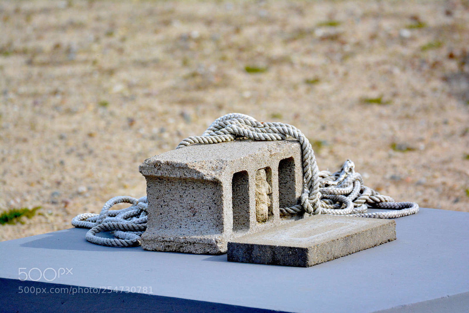 Nikon D5200 sample photo. Still ok photography