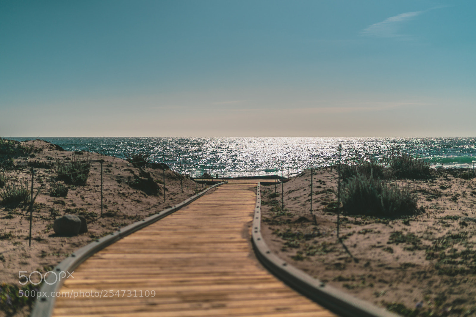 Sony a7R II sample photo. Walk to the sea photography