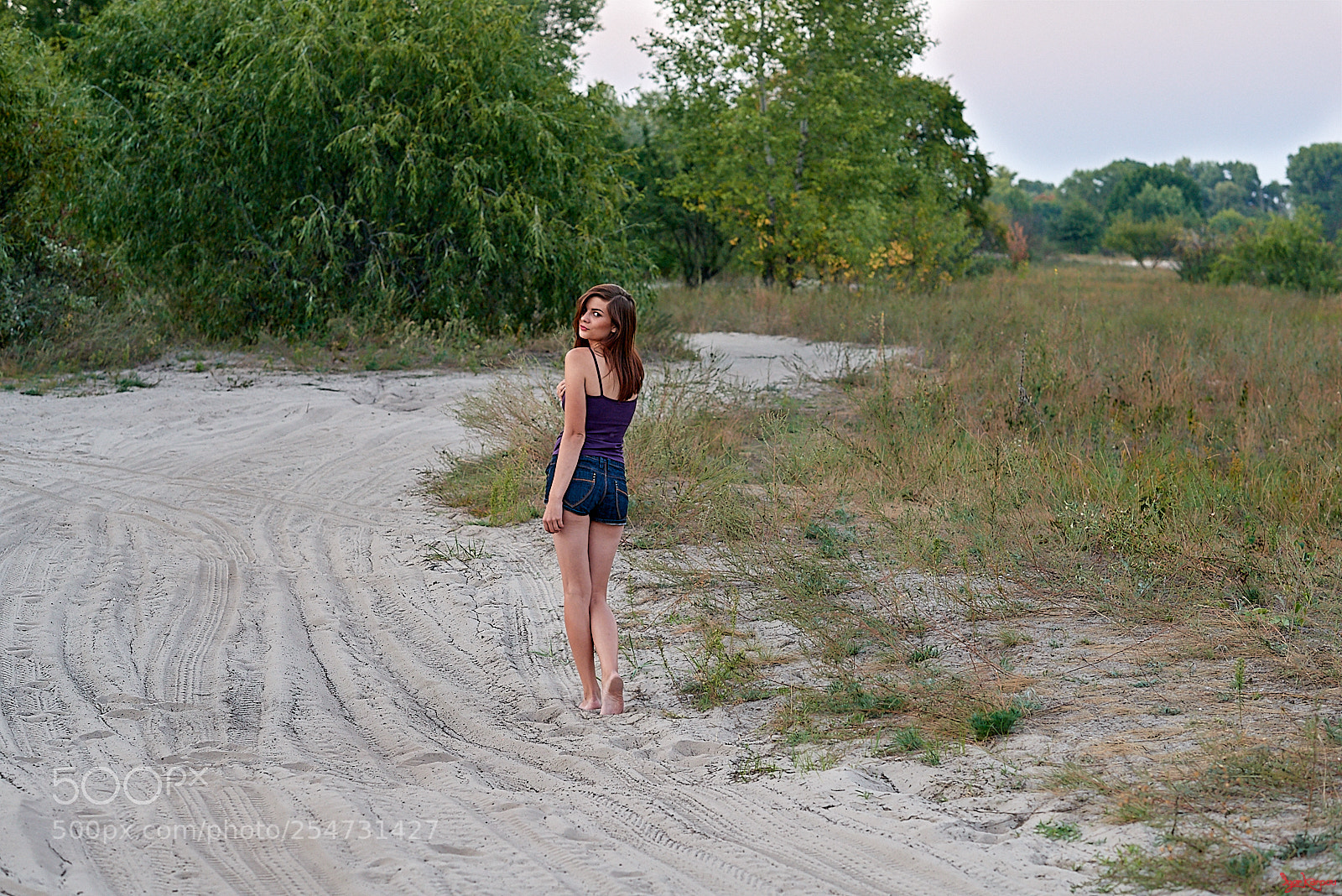 Nikon D800 sample photo. Fork in the road photography