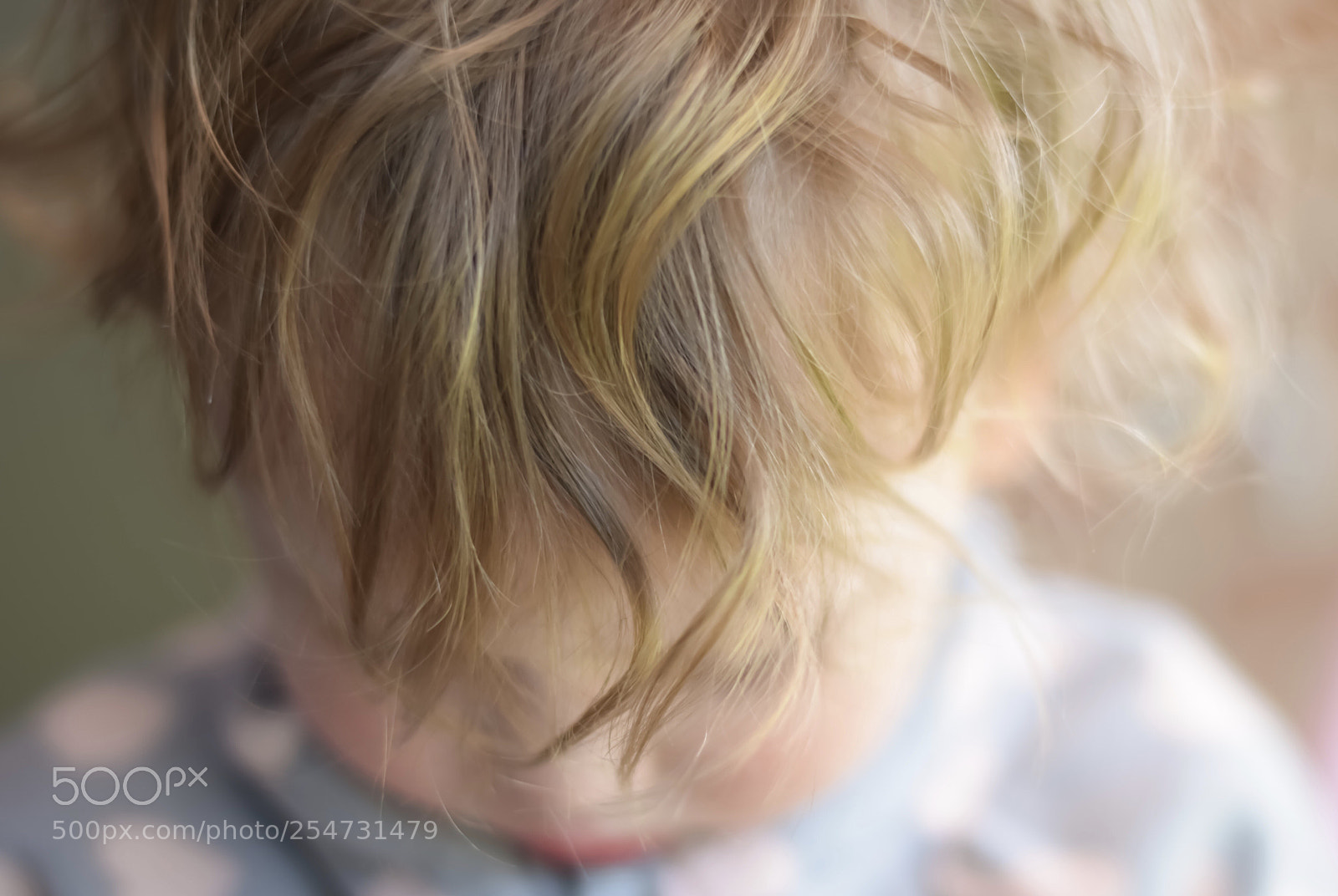Nikon D3300 sample photo. Curly photography