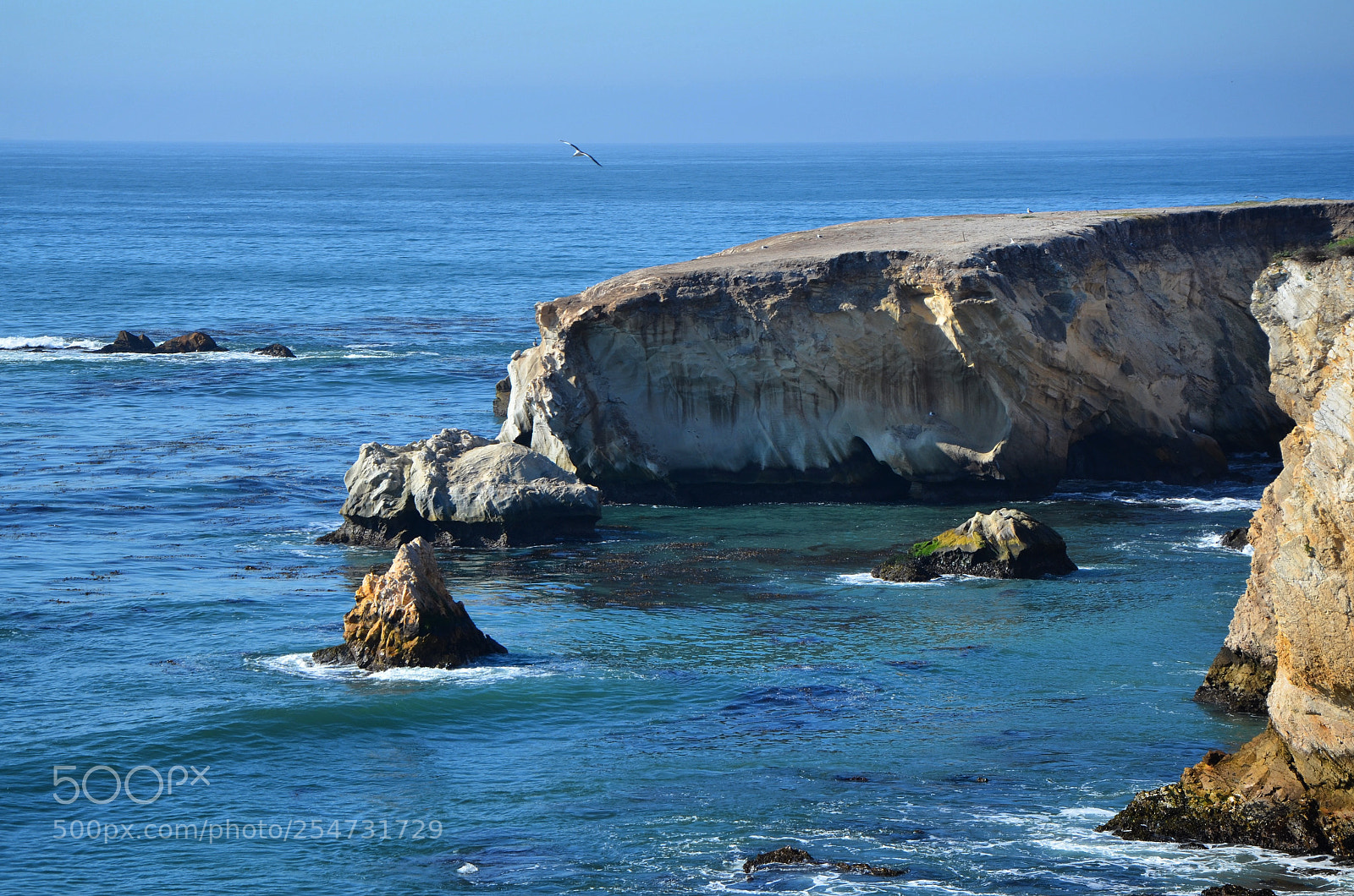 Nikon D7000 sample photo. Happy earth day photography