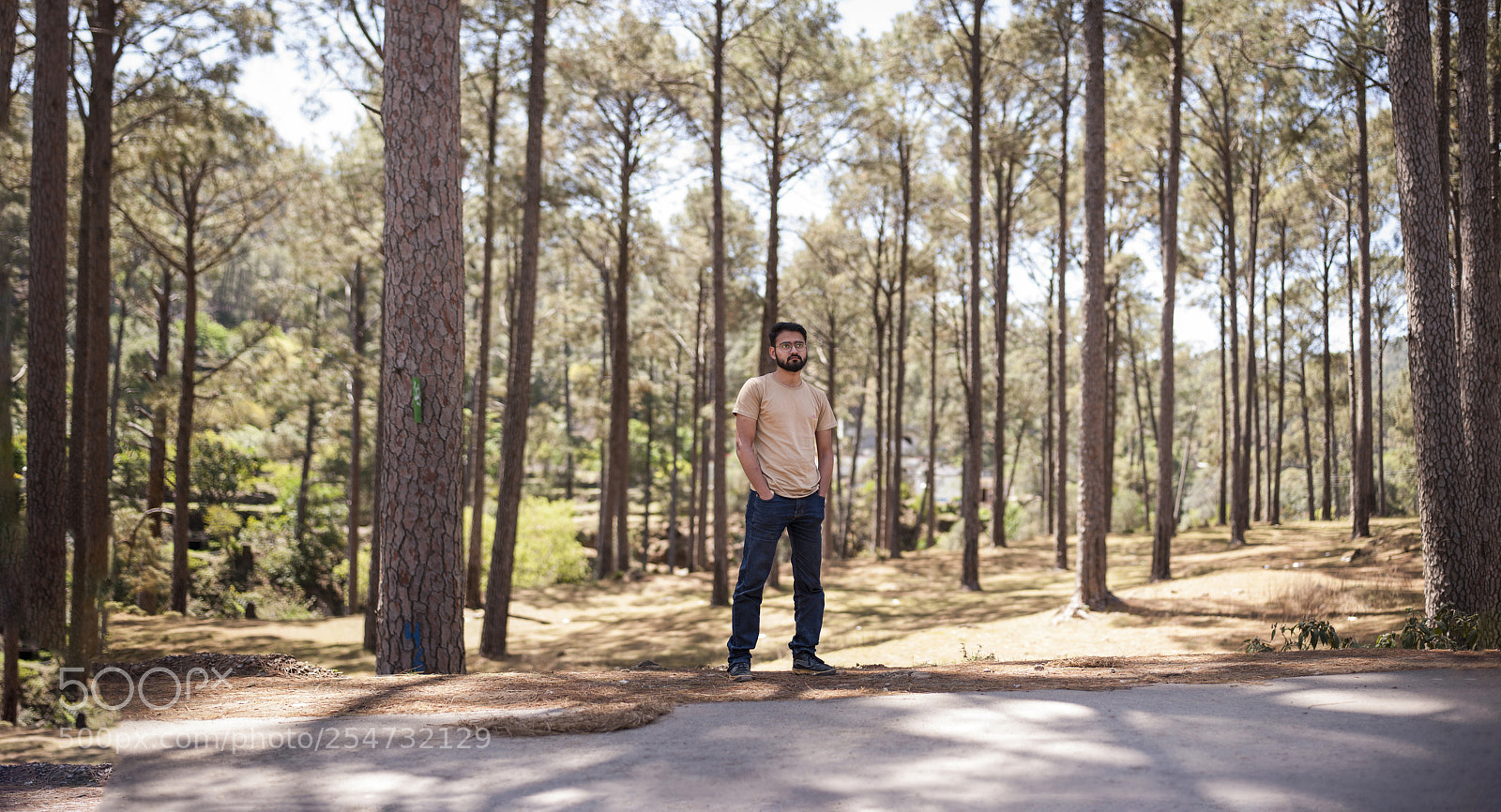 Nikon D700 sample photo. Bokeh panorama photography