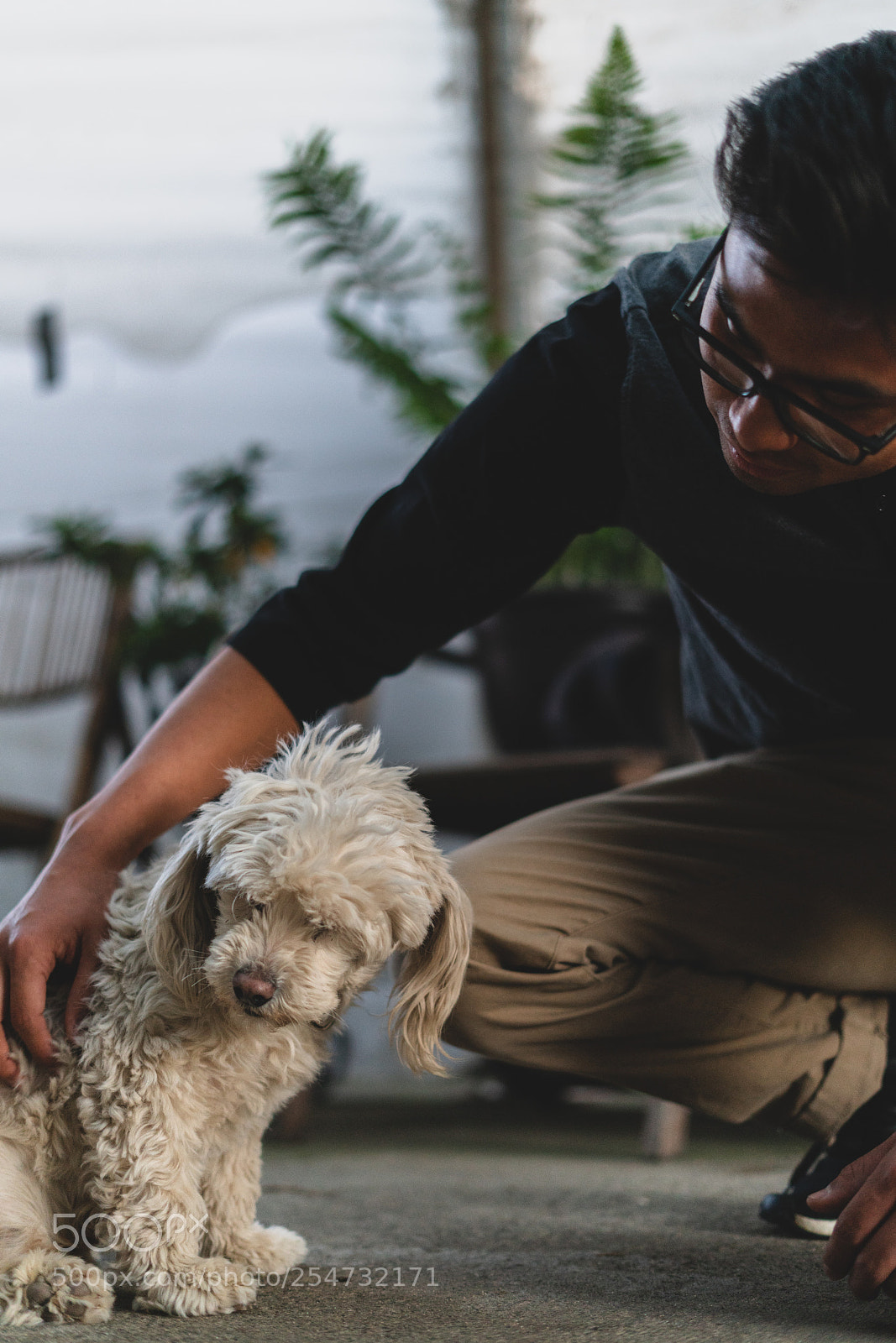 Sony a7R II sample photo. Friends for life photography