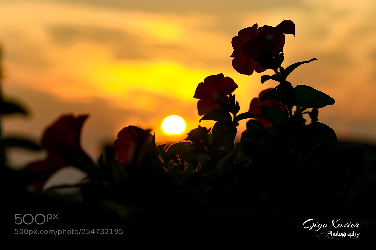 Canon EOS 80D sample photo. Sunset photography
