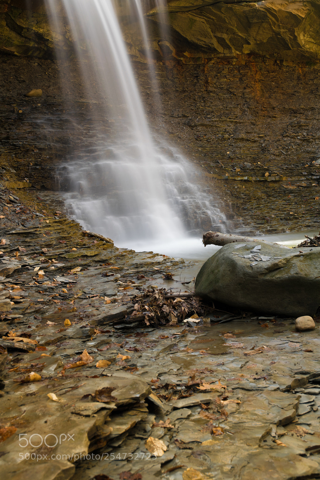Nikon D5300 sample photo. Cuyahoga valley blue hen photography