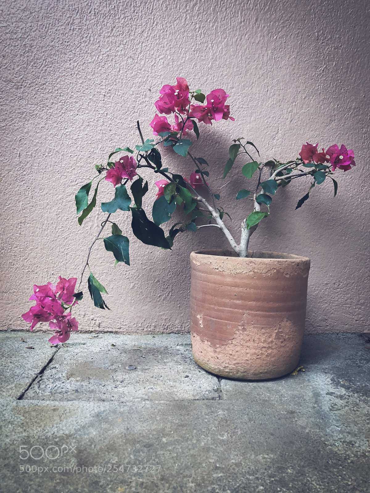 Apple iPhone 8 Plus sample photo. Oldie photography