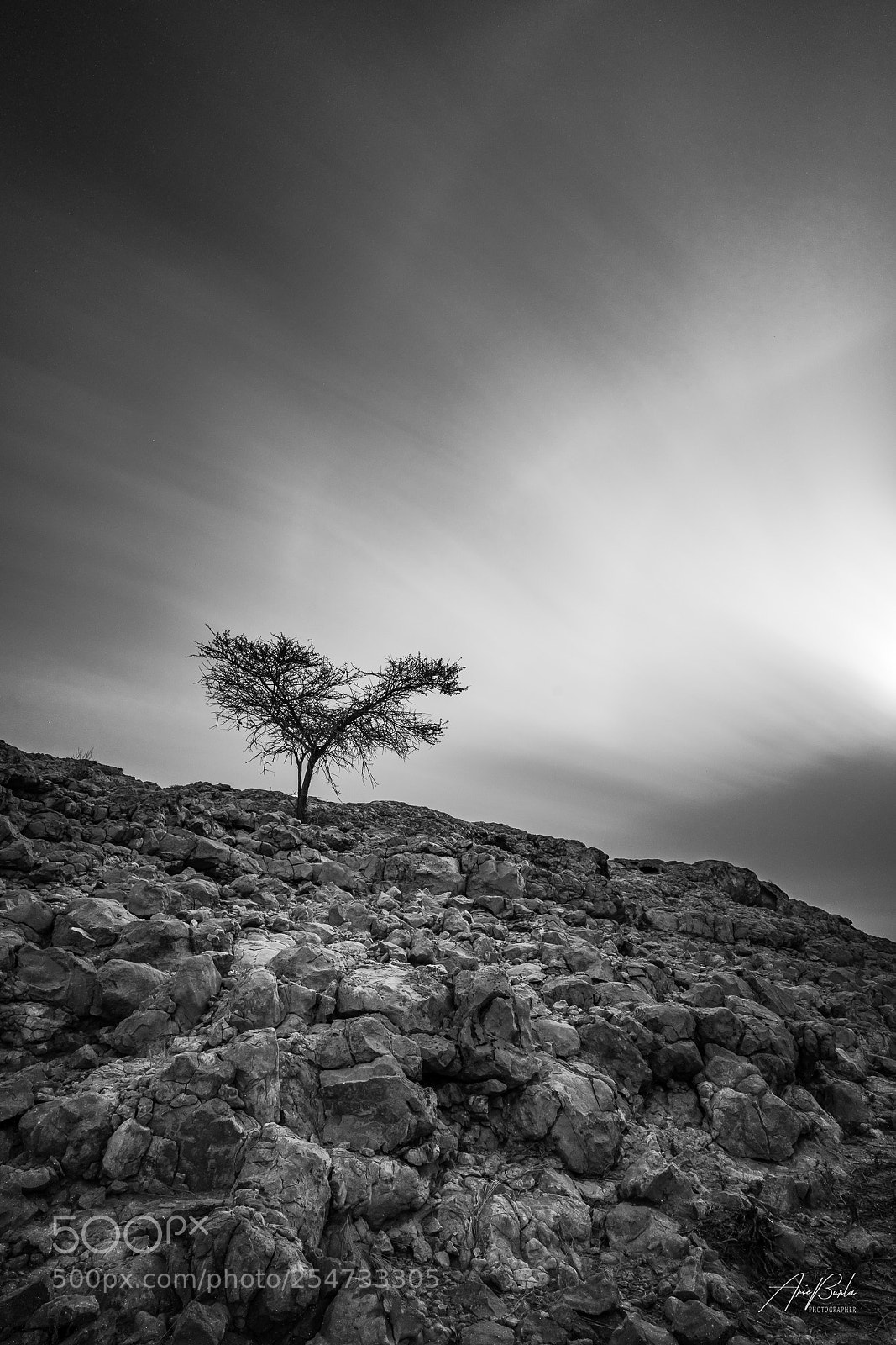 Sony a7R II sample photo. Three photography