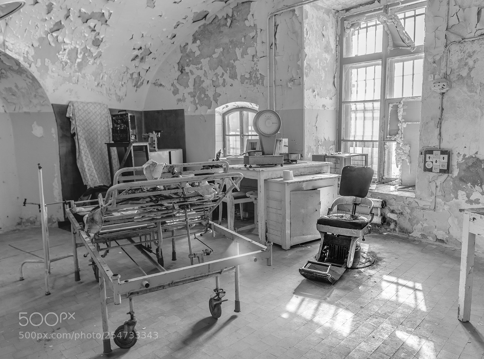 Nikon D810 sample photo. Untitled photography