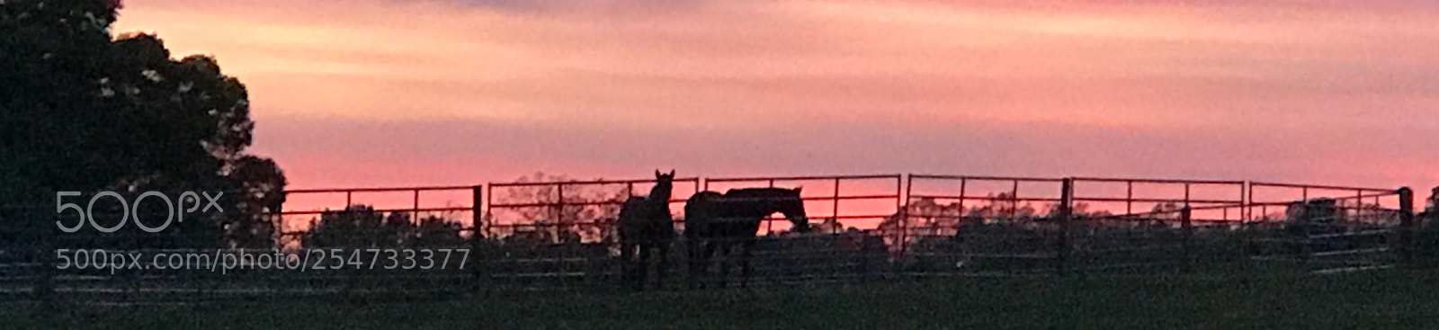 Apple iPhone 7 Plus sample photo. Twilight on the farm photography