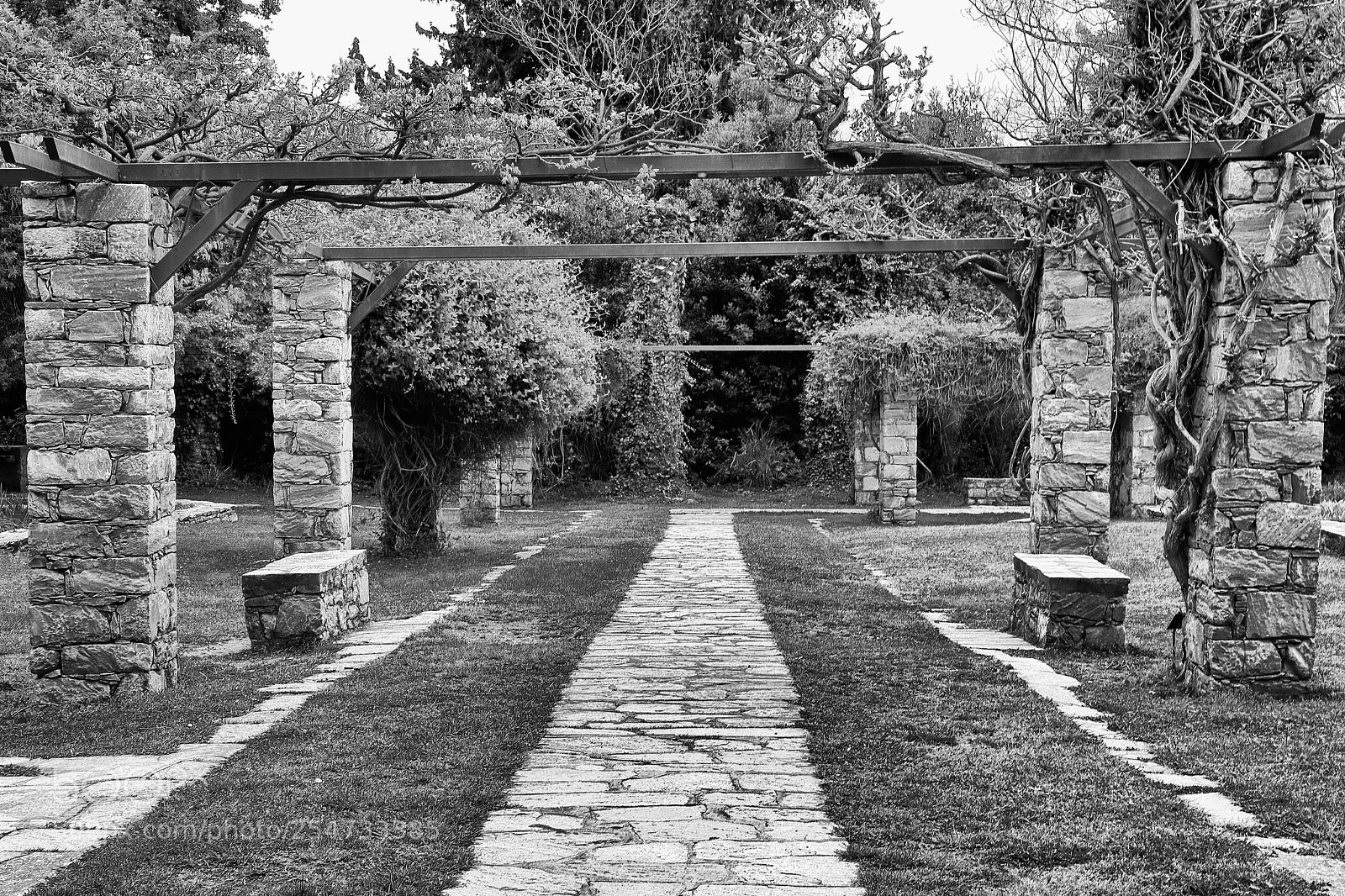 Canon EOS 80D sample photo. Botanical garden diomedes photography