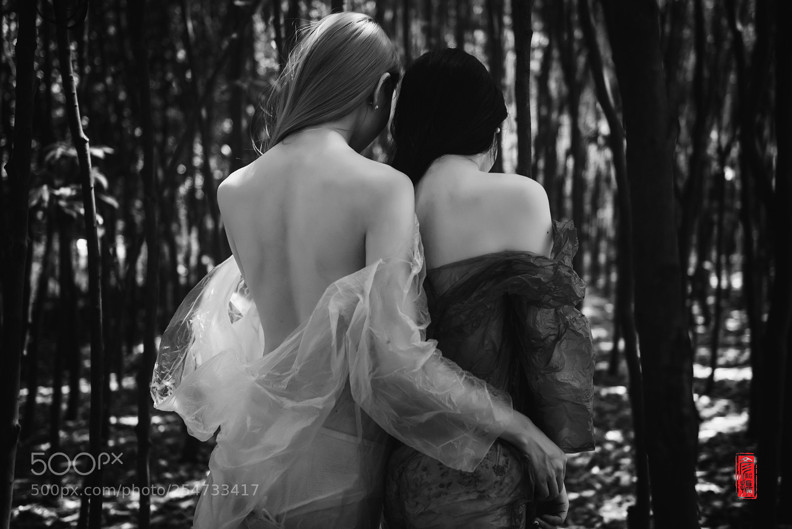 Nikon D800 sample photo. Untitled photography