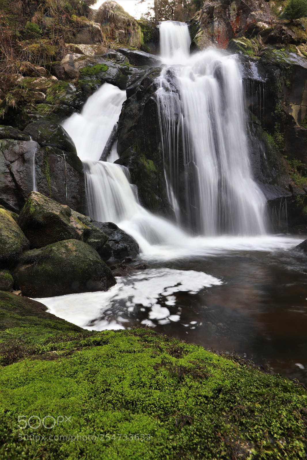 Canon EOS 77D (EOS 9000D / EOS 770D) sample photo. Img photography