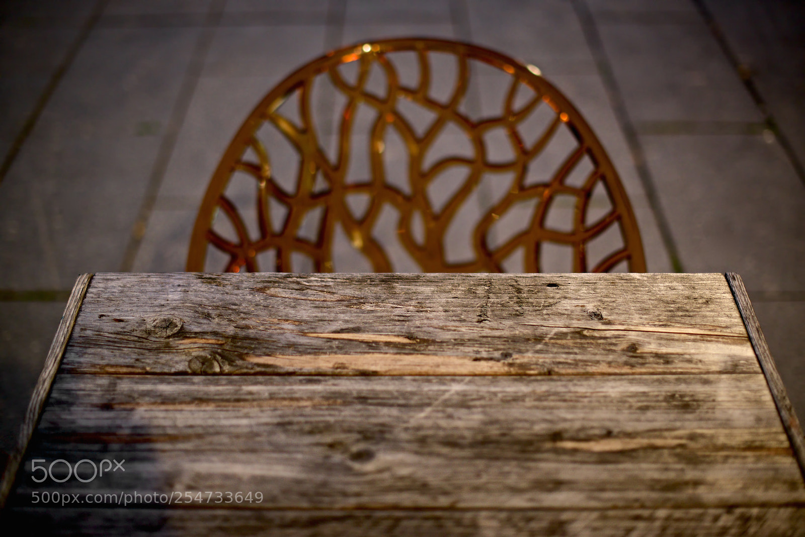 Nikon D800 sample photo. Platz nehmen? photography