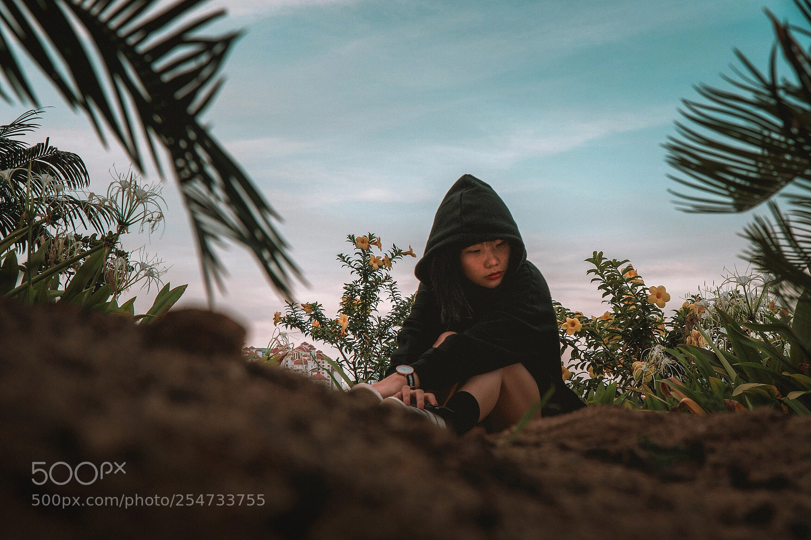 Sony a6500 sample photo. Nature's enclave photography