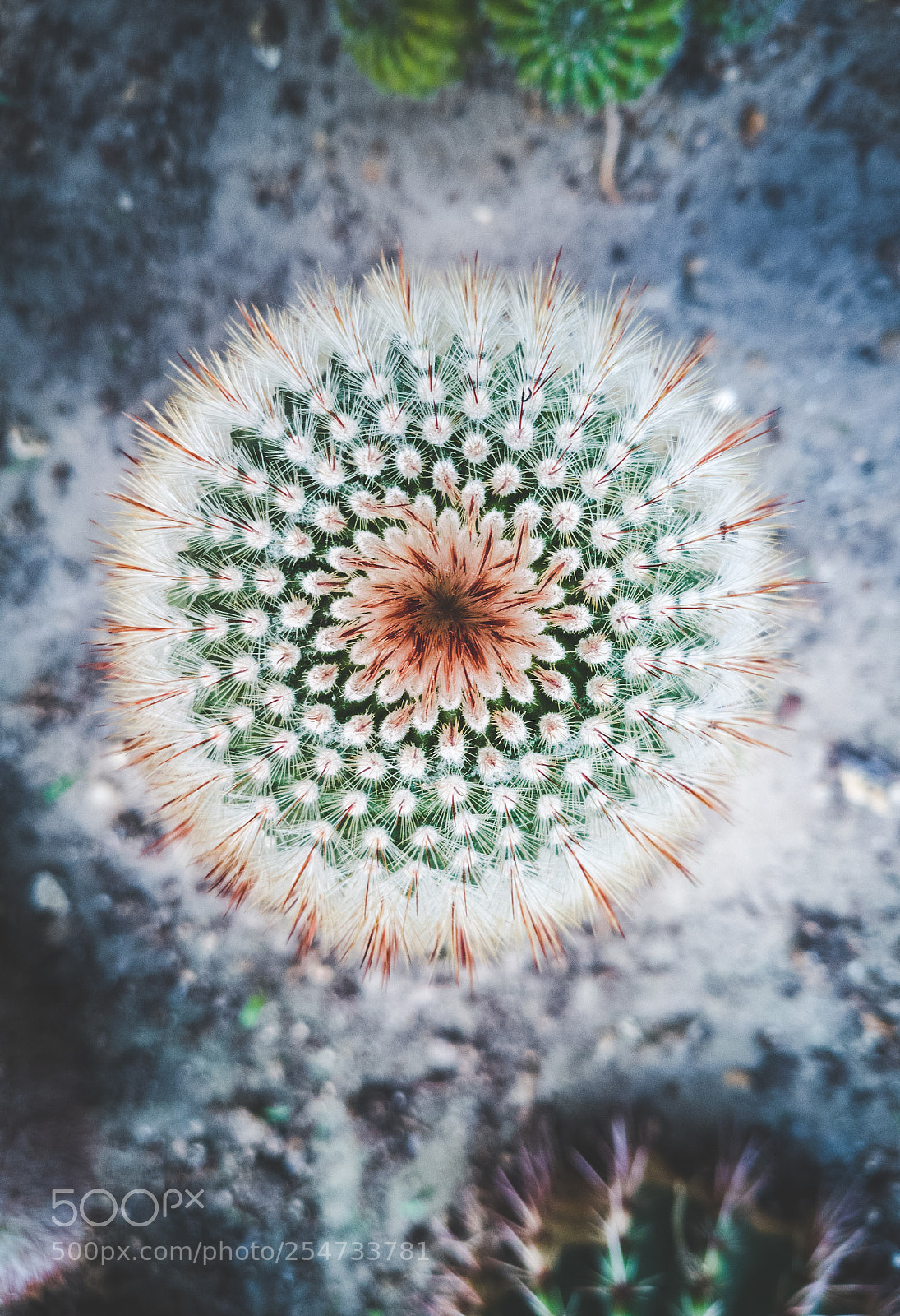 HUAWEI P20 lite sample photo. Amazing nature photography