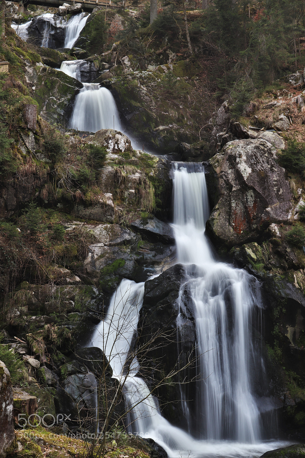 Canon EOS 77D (EOS 9000D / EOS 770D) sample photo. Img photography