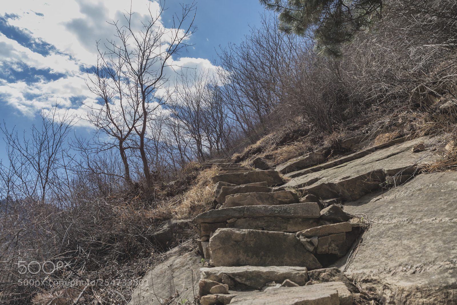 Nikon D810 sample photo. Mountain road photography
