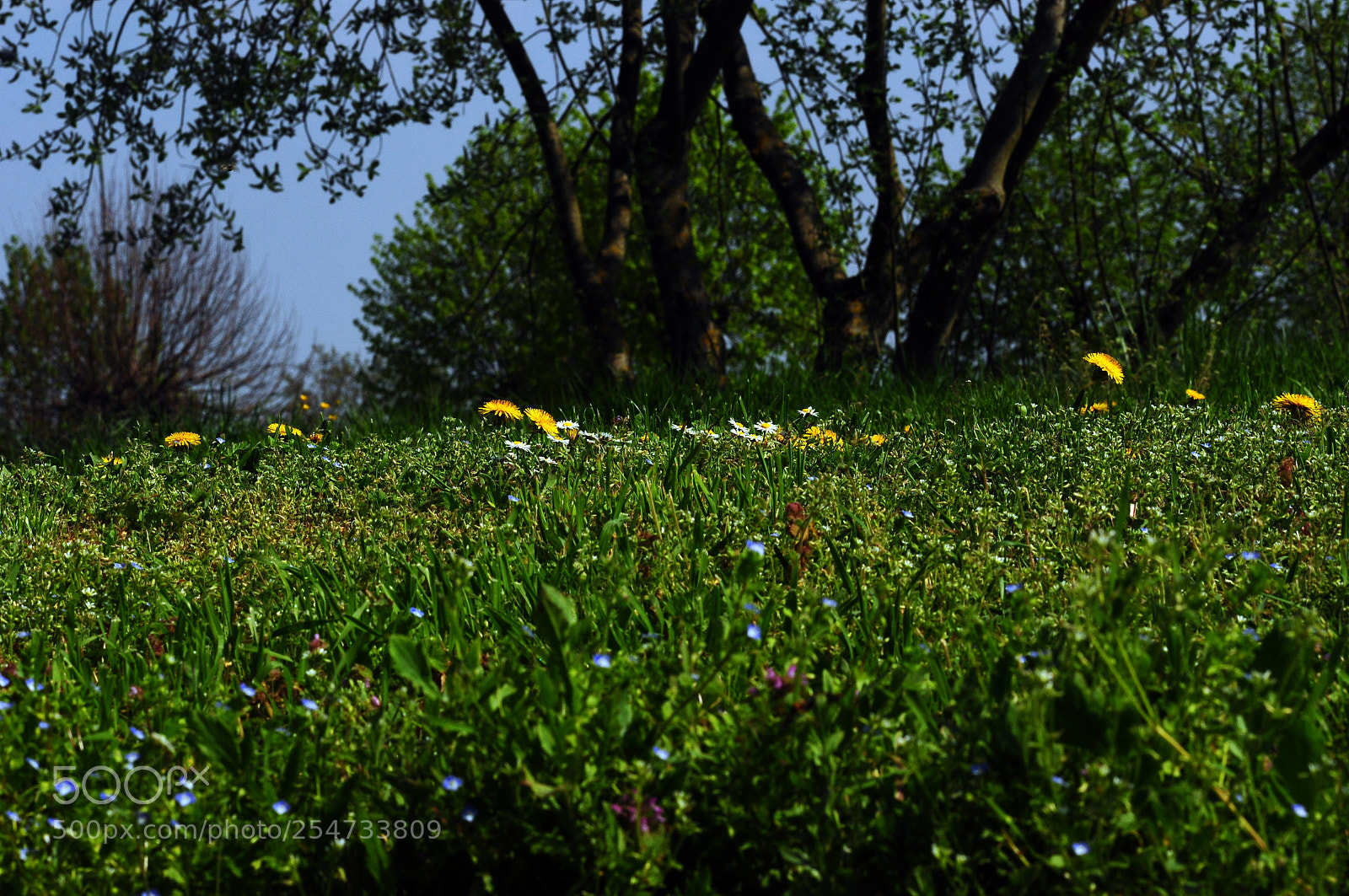 Nikon D90 sample photo. Country atmosphere photography