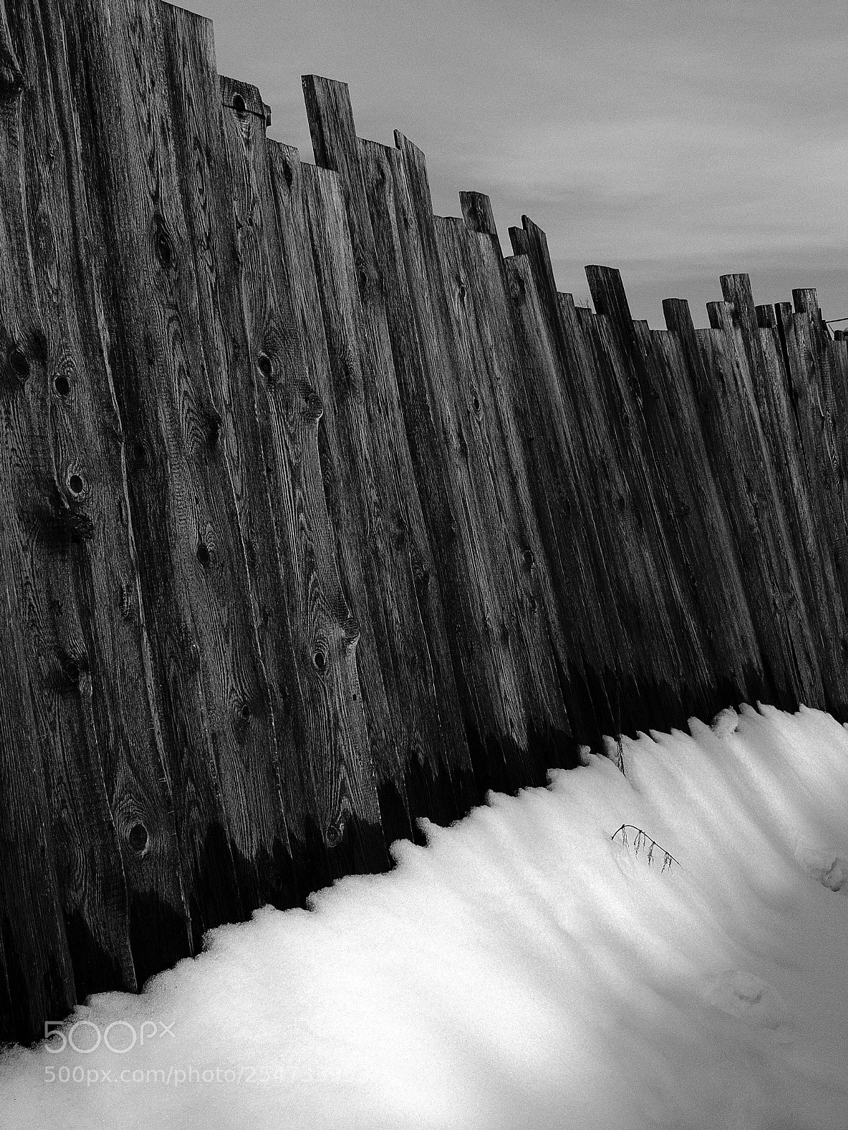 Fujifilm X30 sample photo. У забора. Неизбежность весны fence. spring photography