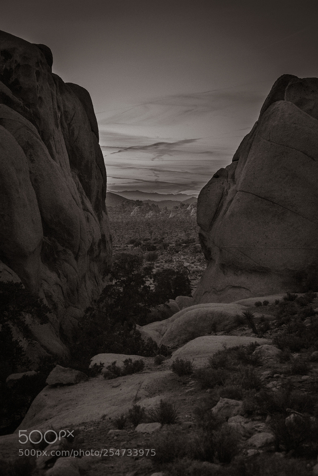 Nikon D610 sample photo. Descending ryan mountain photography