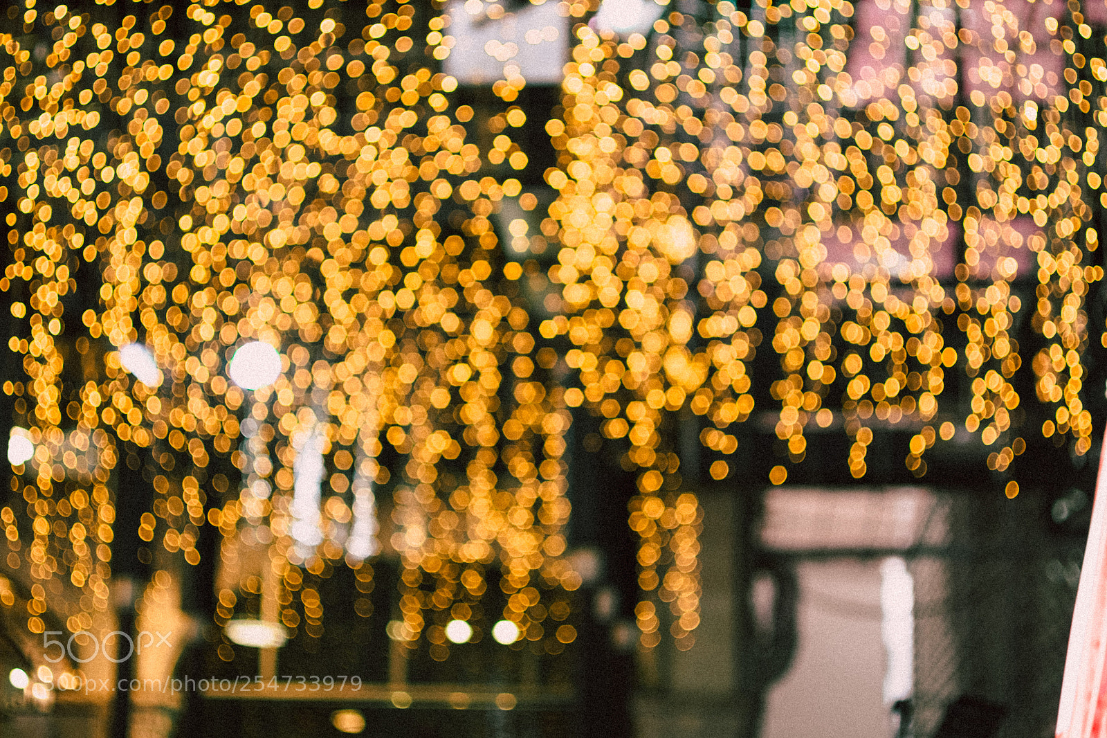 Fujifilm X-E1 sample photo. Ebdcceo photography