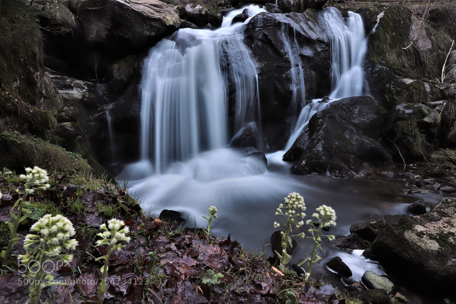 Canon EOS 77D (EOS 9000D / EOS 770D) sample photo. Img photography