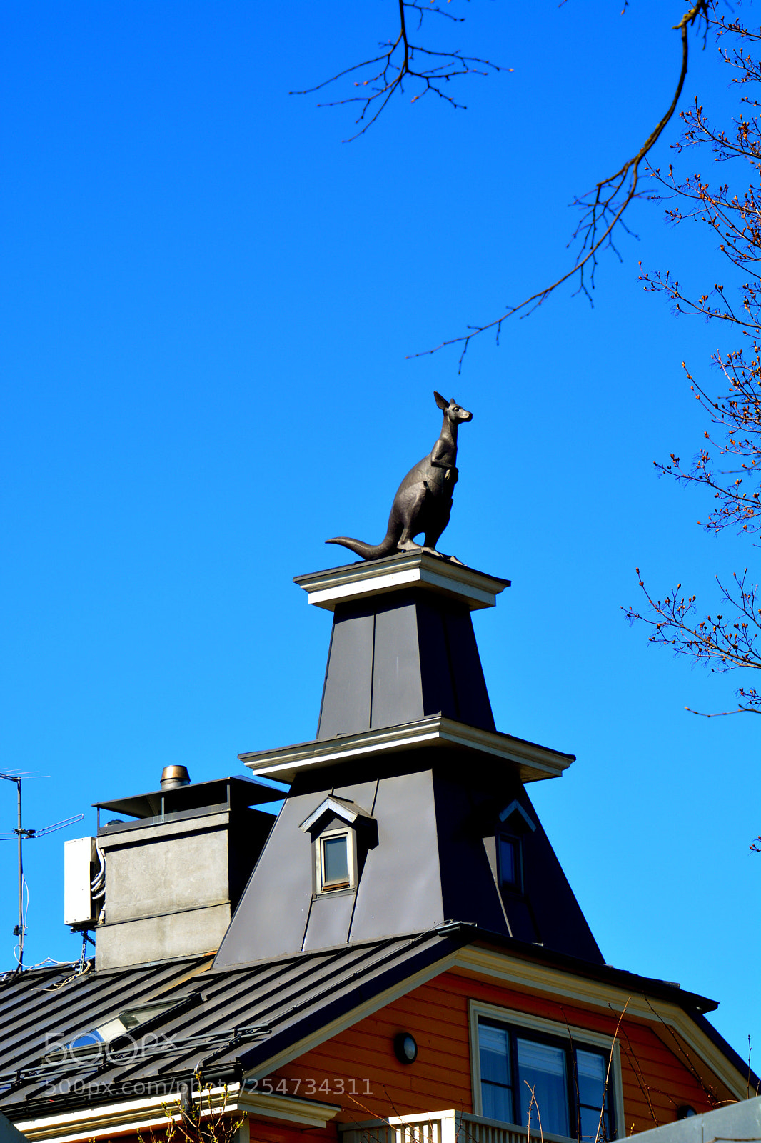 Nikon D5200 sample photo. Roof decoration. photography