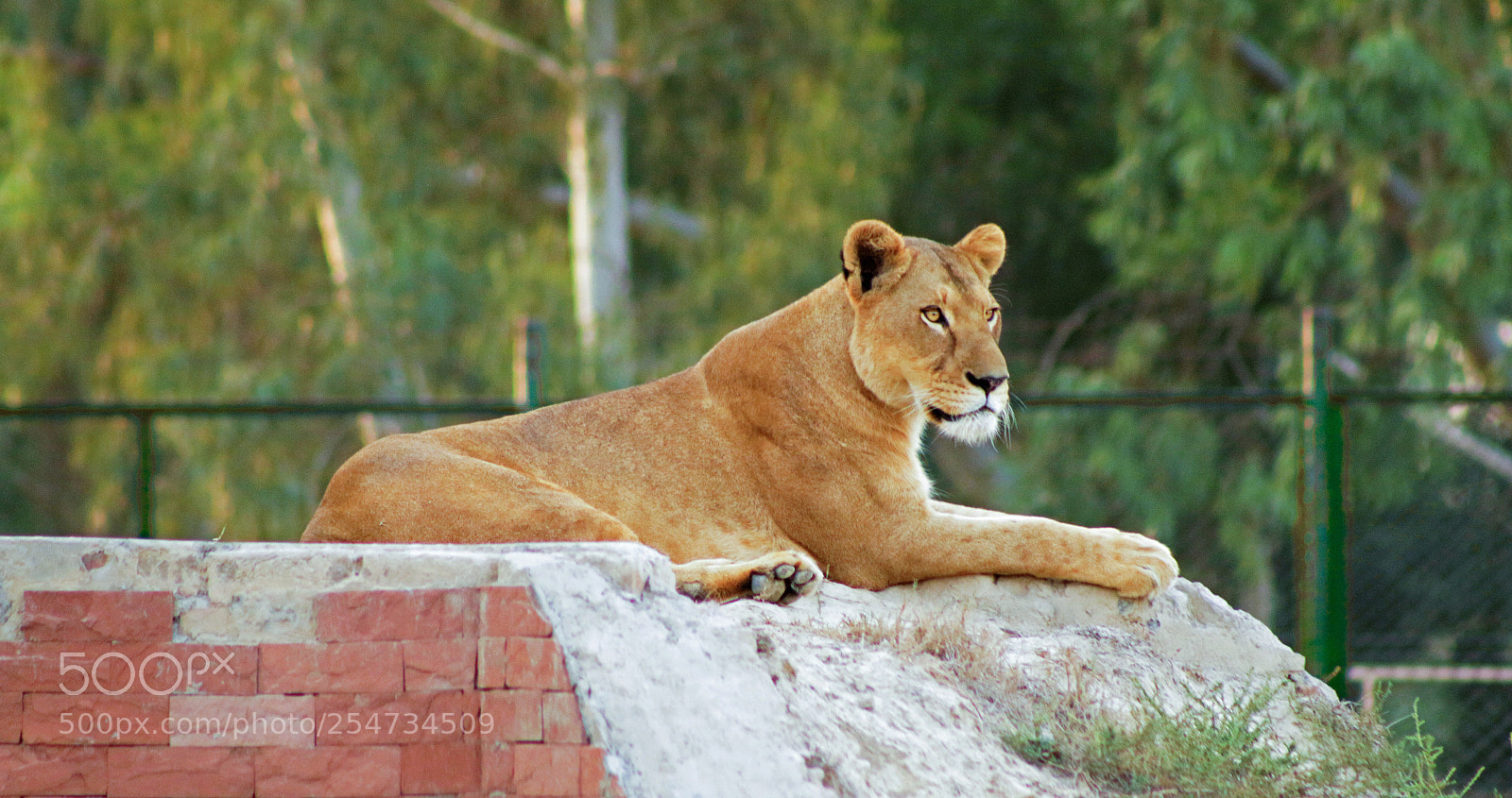 Canon EOS 70D sample photo. Untitled photography