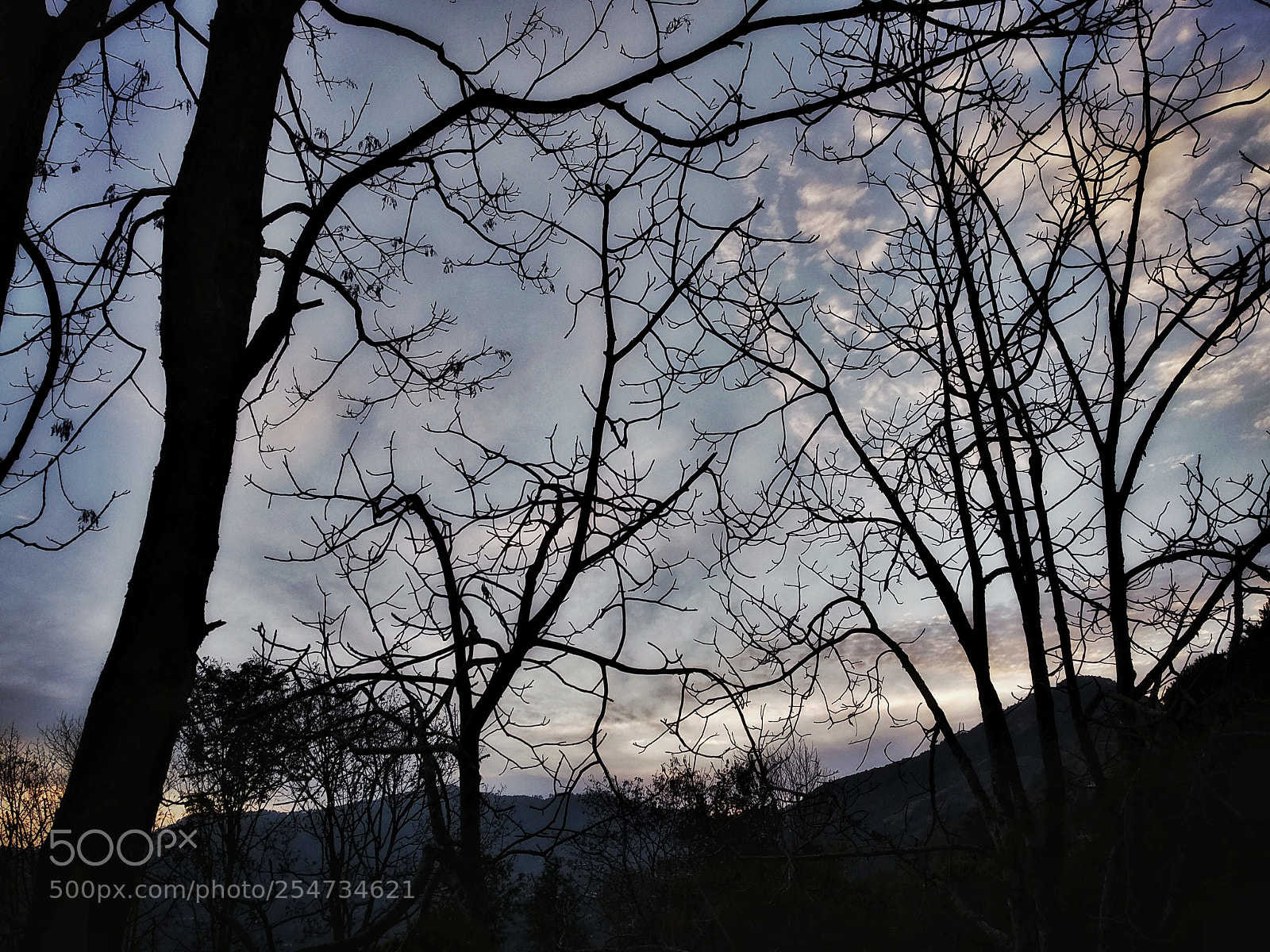 Xiaomi Mi A1 sample photo. Untitled photography