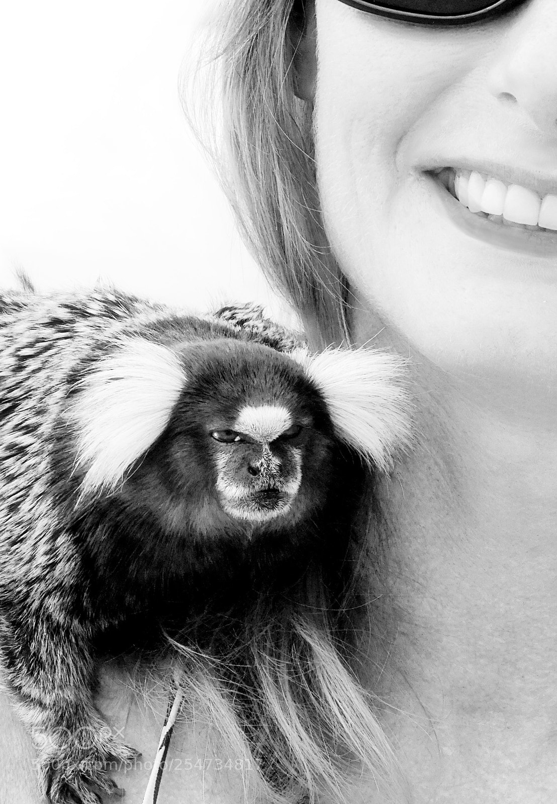 Sony a6000 sample photo. Shoulder monkey photography