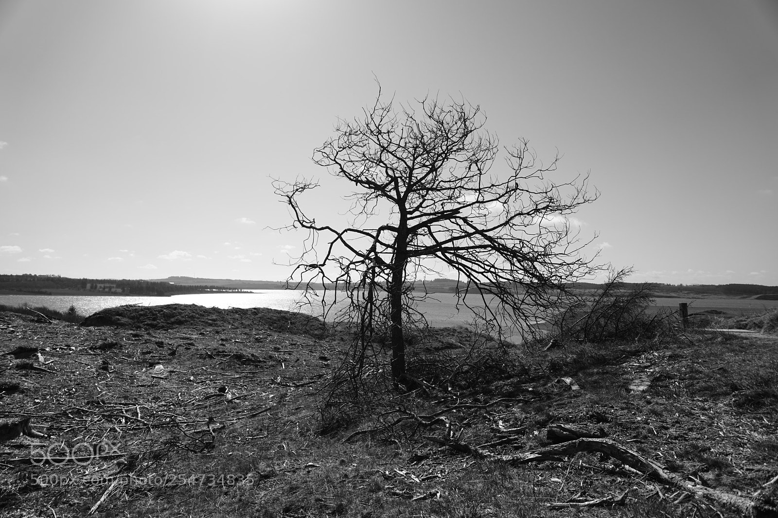 Sony a6500 sample photo. Dsc photography