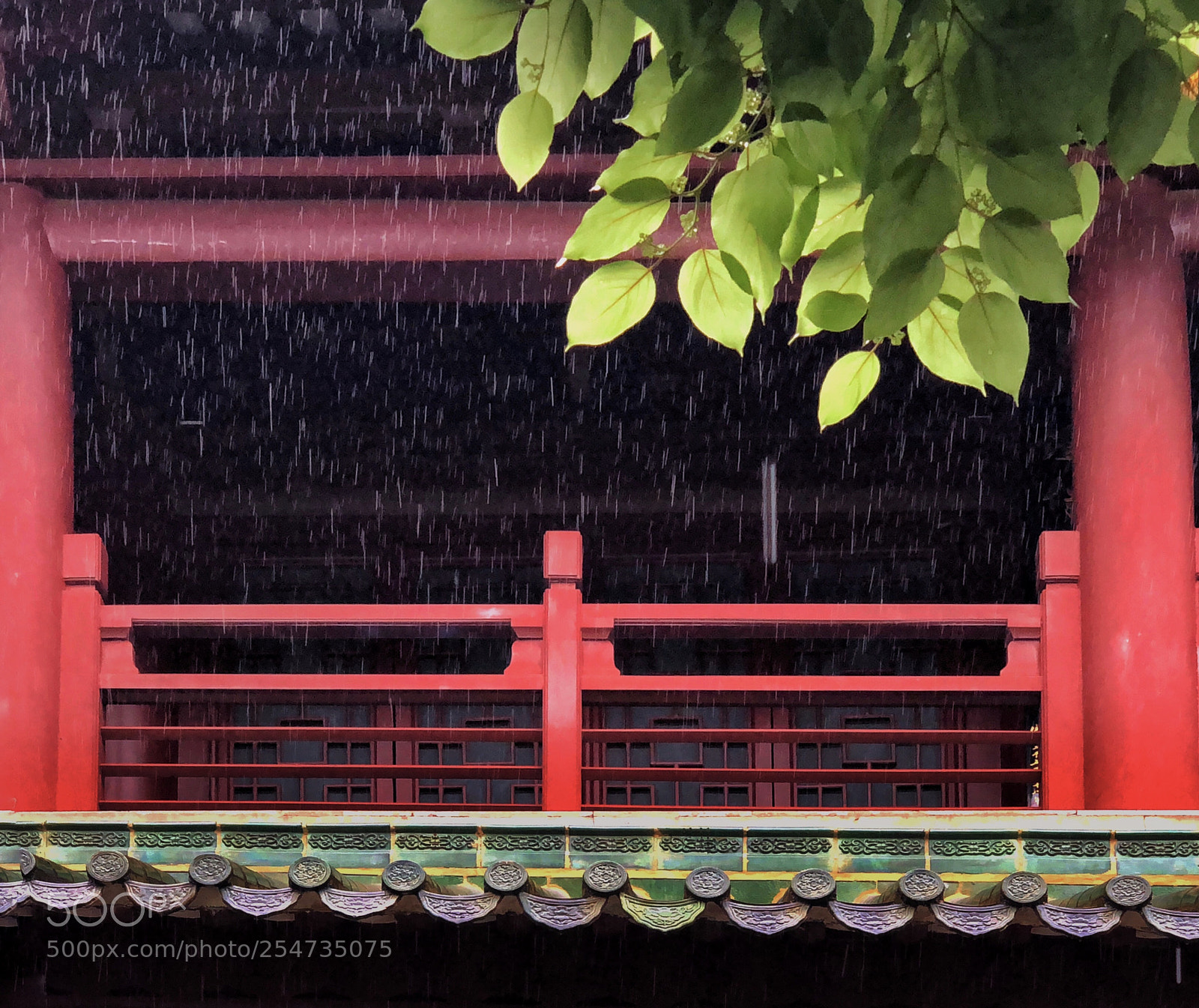 Apple iPhone X sample photo. Sound of rain photography