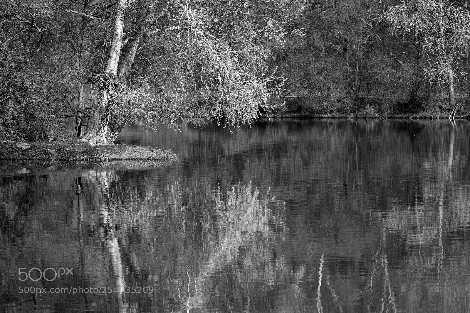 Canon EOS 5D Mark IV sample photo. Reflection photography