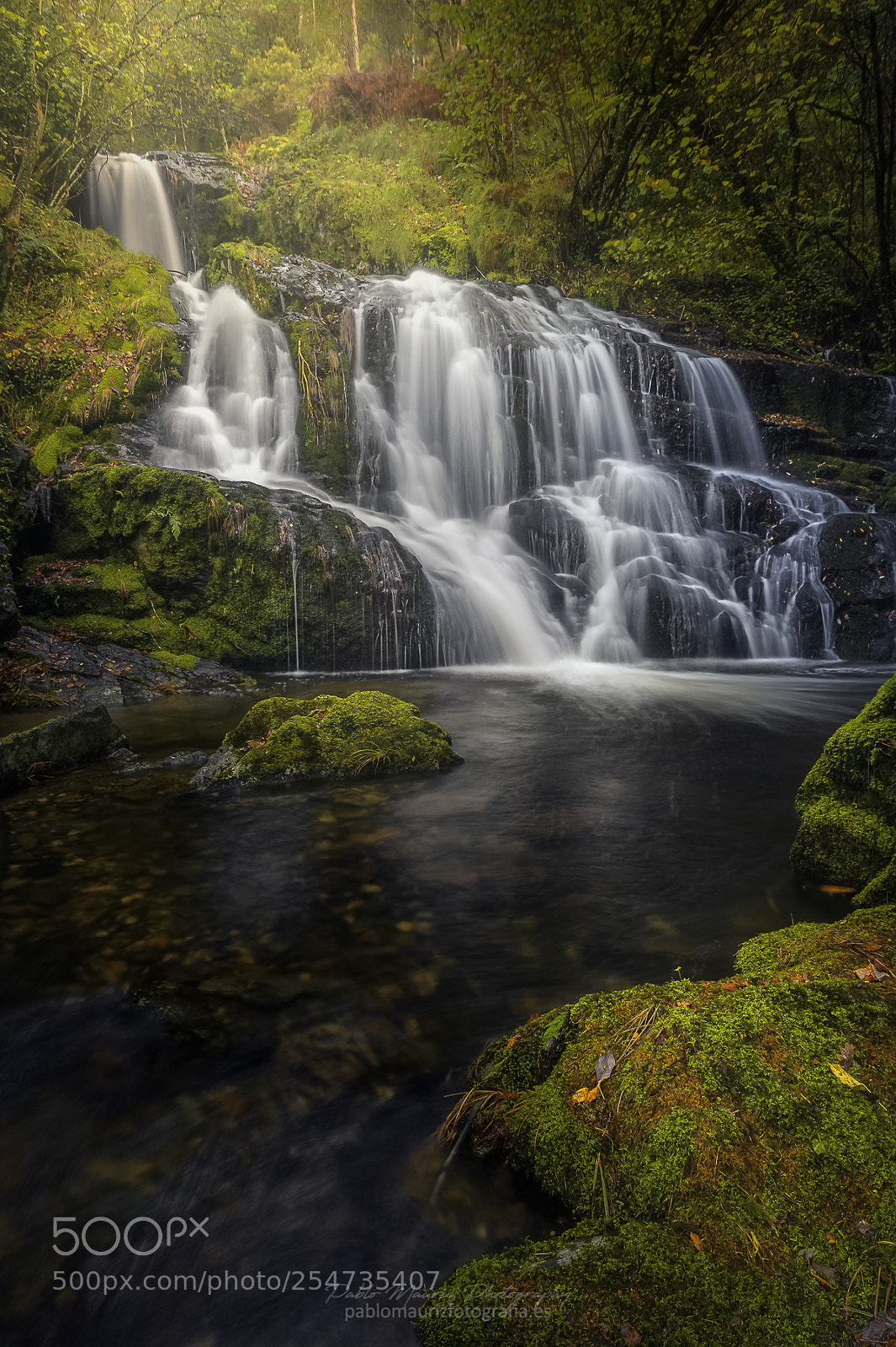 Nikon D700 sample photo. Hidden nature photography