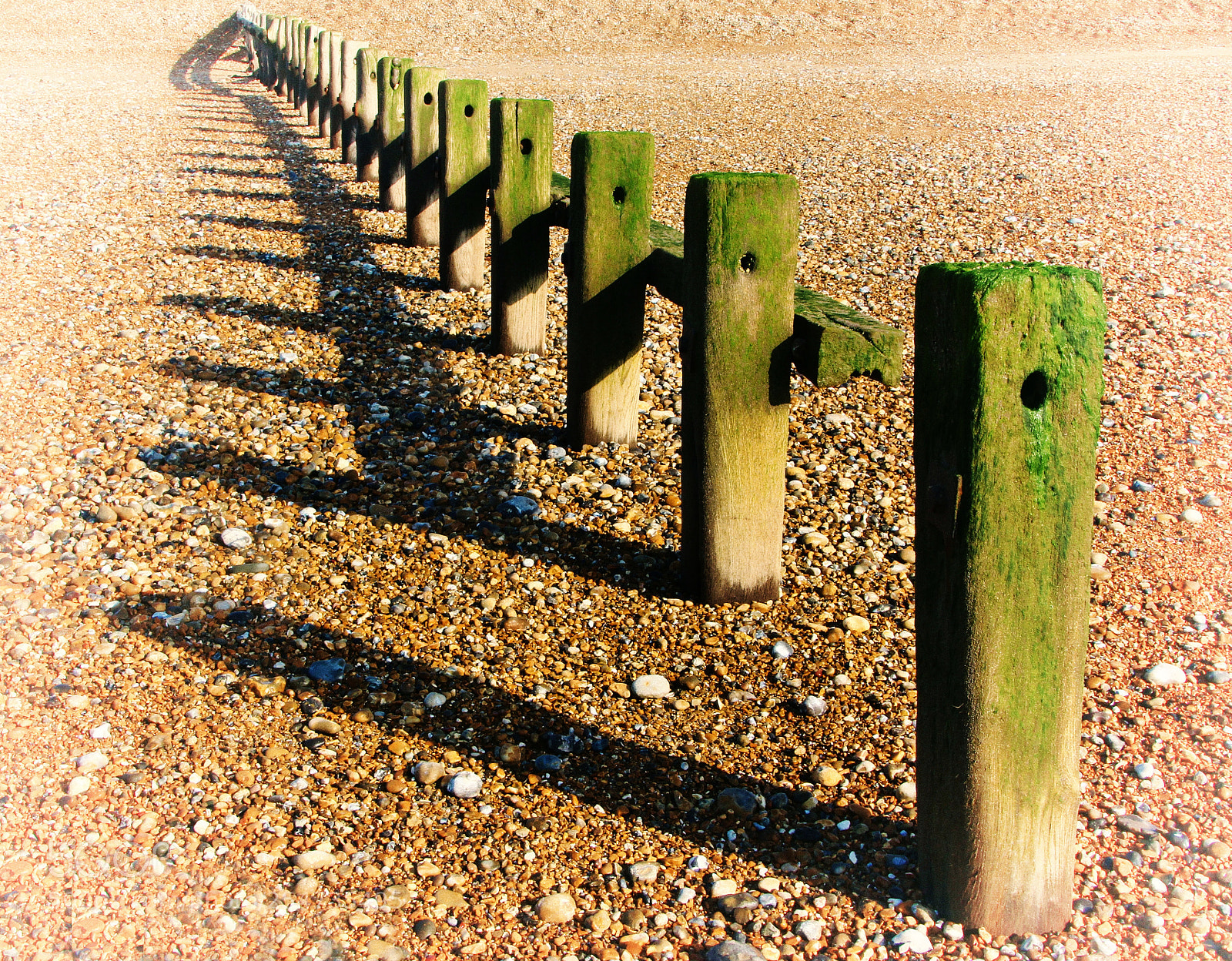 Canon EOS 60D sample photo. Receding shadows photography