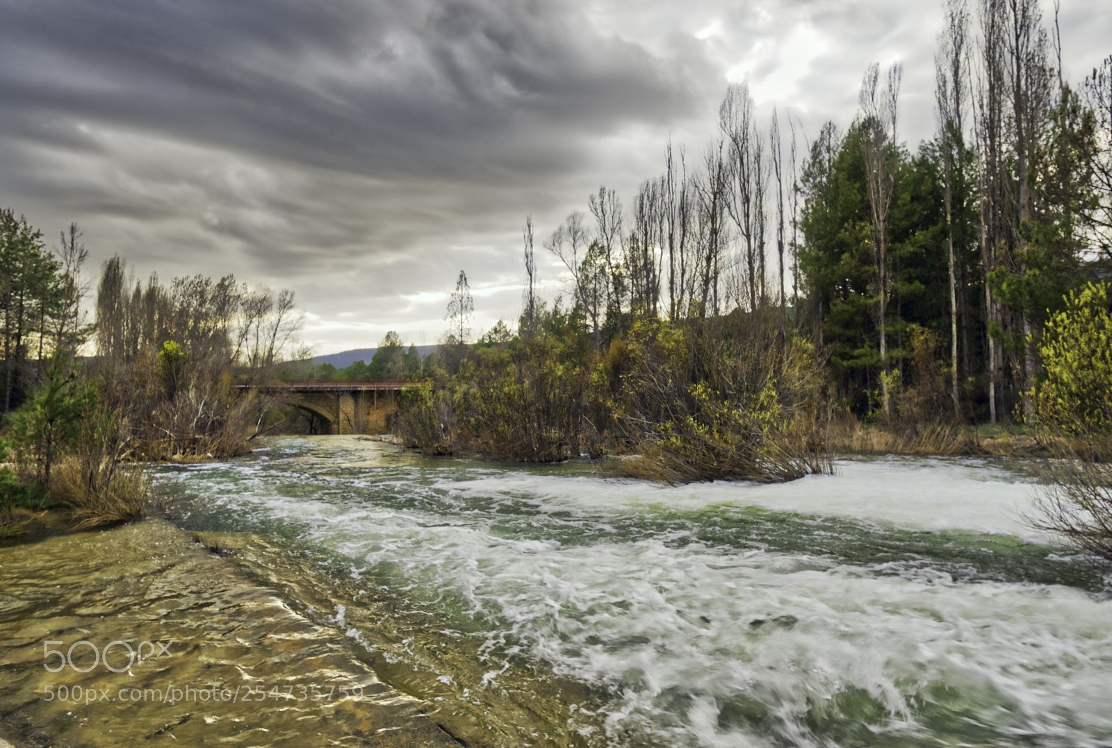 Nikon D610 sample photo. Tarde melancólica photography