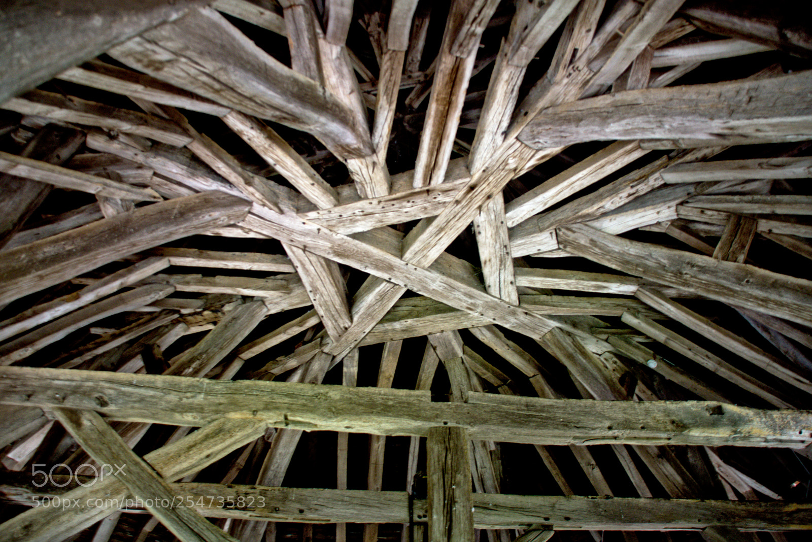 Nikon D5300 sample photo. Wood, wood and a photography