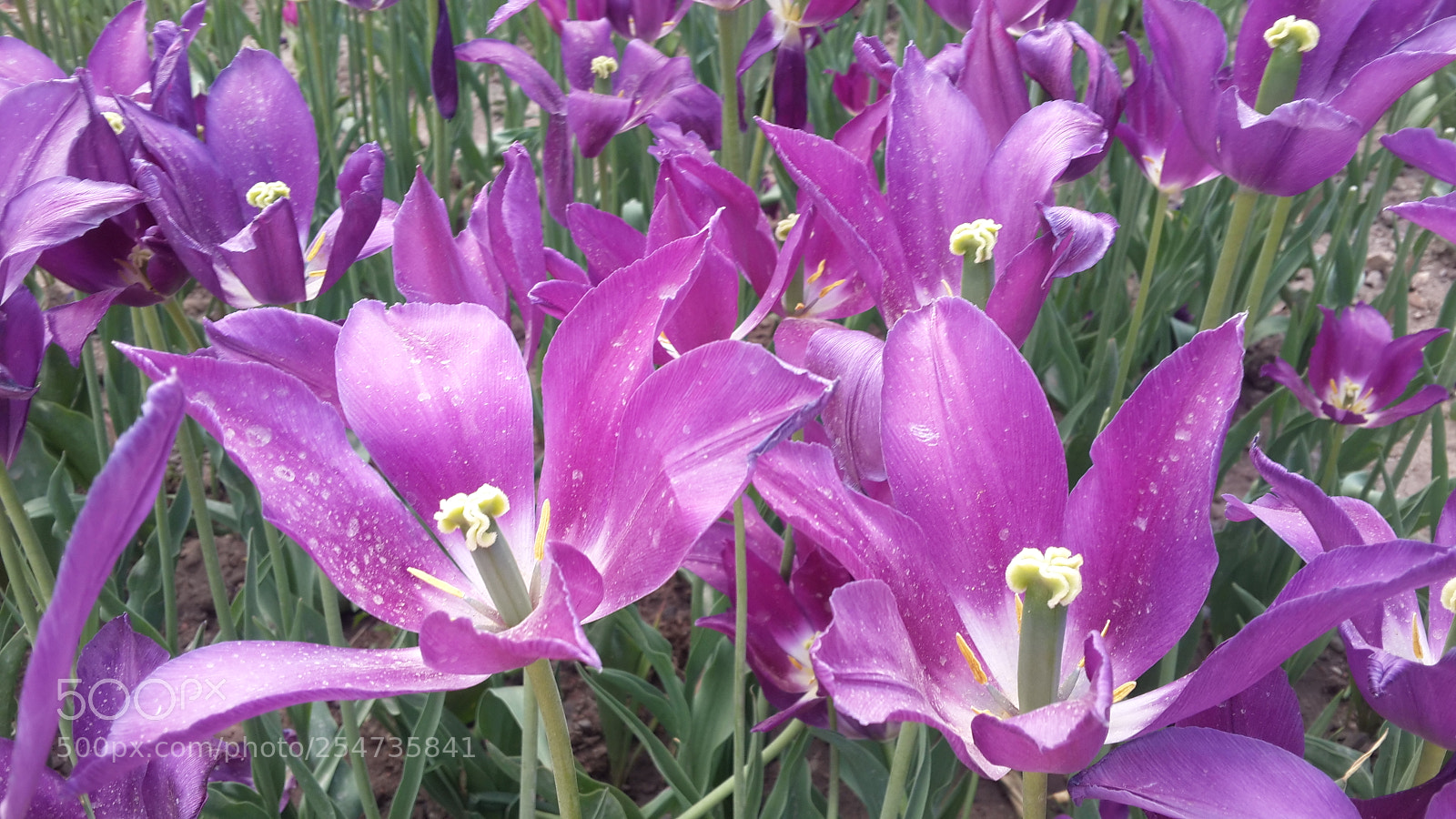 Samsung Galaxy S4 sample photo. 20180422_135826.jpg photography